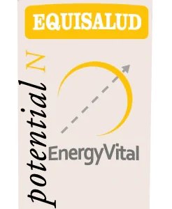 EnergyVital® Potential-N · Equisalud · 60 cápsulas