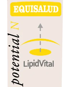 LipidVital®  Potential-N · Equisalud · 60 cápsulas