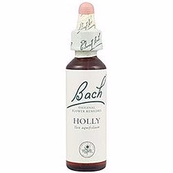 Holly nº 15 · Bach · 20 ml