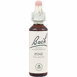 Pine nº 24 · Bach · 20 ml