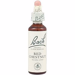 Red Chestnut nº 25 · Bach · 20 ml