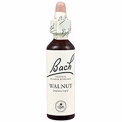 Walnut nº 33 · Bach · 20 ml