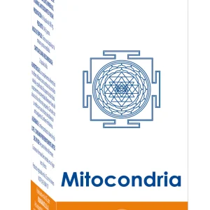 Holoram Mitocondria · Equisalud · 60 cápsulas