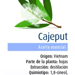 Aceite Esencial de Cajeput · Physalis · 10 ml