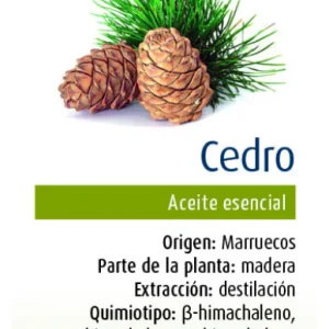 Aceite Esencial de Cedro · Physalis · 10 ml