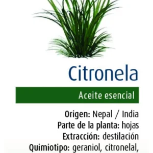 Aceite Esencial de Citronela · Physalis · 10 ml
