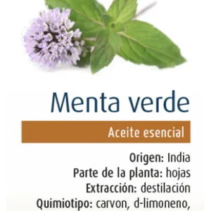 Aceite Esencial de Menta Verde · Physalis · 10 ml