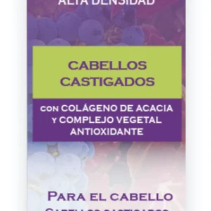 Champú Alta Densidad Cabellos Castigados · D'Shila · 125 ml