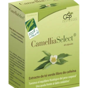 Camellia Select · 100% Natural · 60 cápsulas