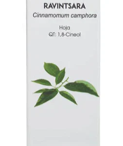 Bio Essential Oil Ravintsara · Equisalud · 10 ml