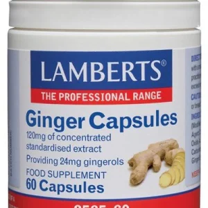 Jengibre · Lamberts · 60 cápsulas