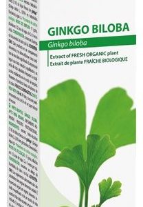 Phyto-Biopole Ginkgo Biloba · Dietéticos Intersa · 50 ml