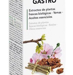 Phyto-Biopole Mix Gastro 15 · Dietéticos Intersa · 50 ml