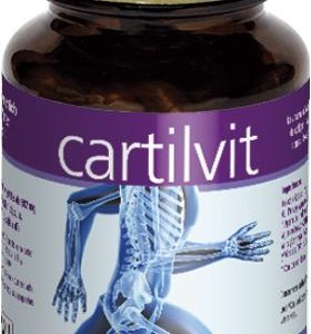 Cartilvit · Vital 2000 · 90 cápsulas